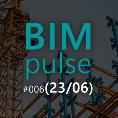 BIMpulse 006 – The BIM we build