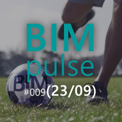 BIMpulse 009 – Państwowy BIM