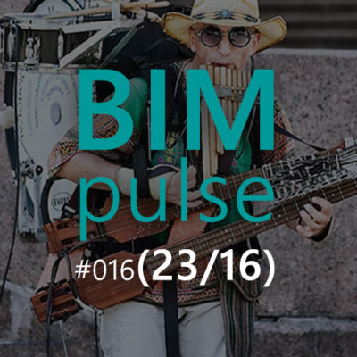 BIMpulse 016 – One-man band vs BIM standards