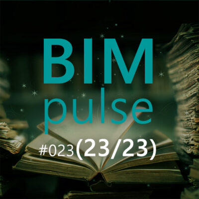 BIMpulse 023 – Twój własny standard